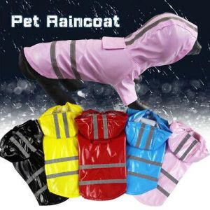 אם אתם לא מוכנים ללכת בגשם למה שהכלב יסבול...... חליפת חורף לכלב שתתן לא תחושה נוחה וטובה 